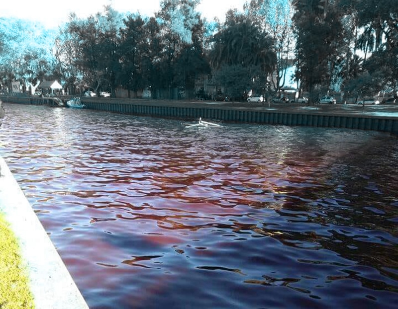 Río Tigre rojo