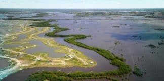 Delta inundación