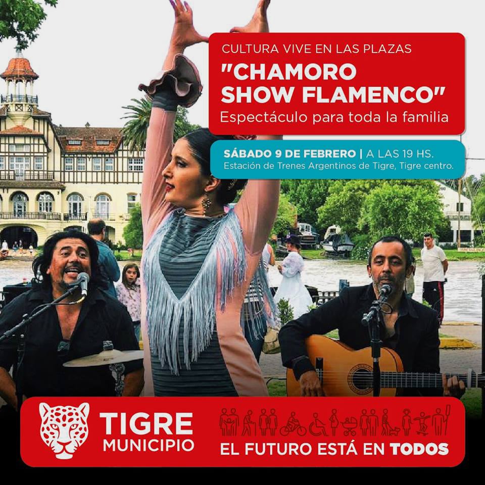 Flamenco Tren