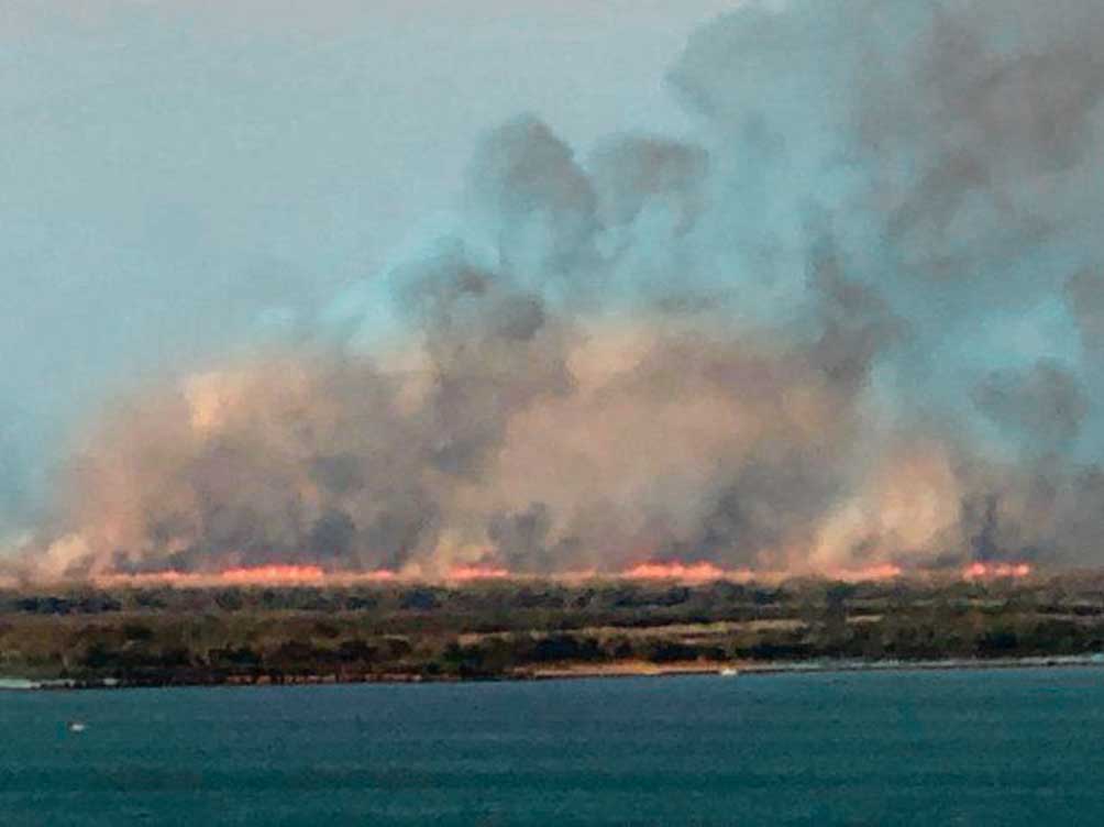Delta del Paraná: se quemaron ya más de 5 mil hectáreas por desidia de  productores - Pluma de Río